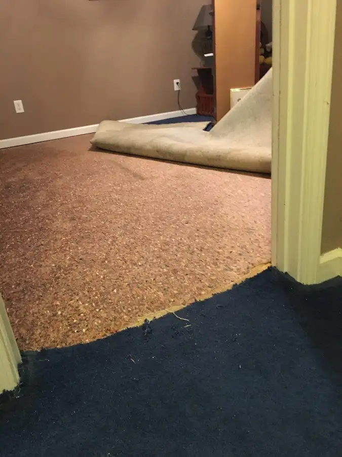 Carpet pad removal revealing water damage during Drying & Dehumidification in Dunmore