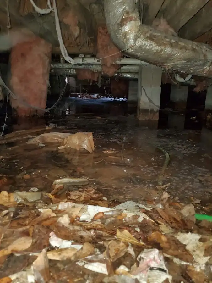 Crawl space flood assessment for Leak Detection & Repair in Dunmore